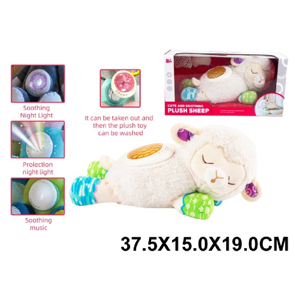 (67919) Oita cu proiector de noapte