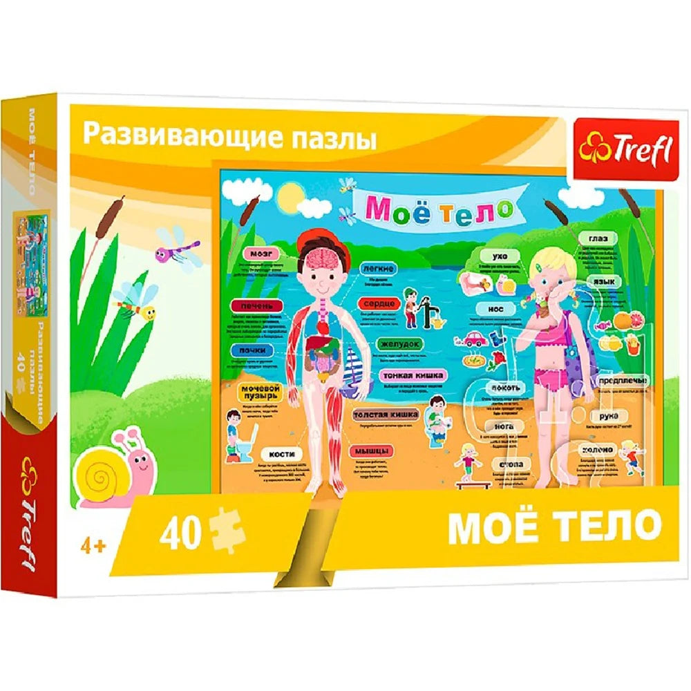 Corpul meu, 40 elemente (15528)