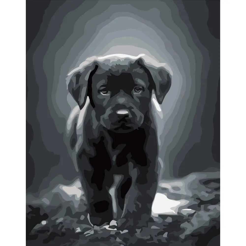 Pictura pe numere „Labrador”, 40×50 cm (DY277)