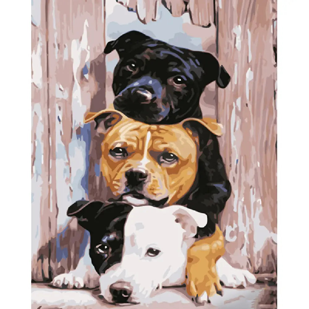 Pictura pe numere „Trei Pidbull”, 40×50 cm (GS1013)