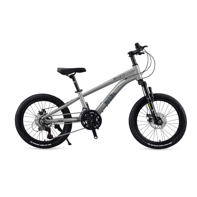 Bicicletă pentru copii cu două roți, 20 inch, gri-negru, cod 2363D