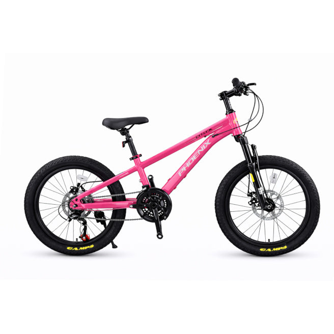 Bicicletă pentru copii cu două roți, 22 inch, roz cod 2348D,gri-negru cod 2350D,albastru-negru, cod 2349D