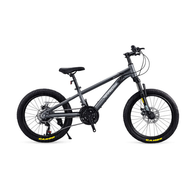 Bicicletă pentru copii cu două roți, 22 inch, roz cod 2348D,gri-negru cod 2350D,albastru-negru, cod 2349D