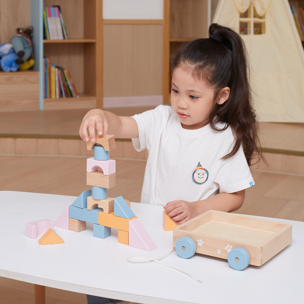 Jucărie de tras, cu șiret și set de construcție, 20 elem. SKU: 44096