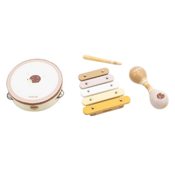 Set muzical „Ariciul” SKU: 44233