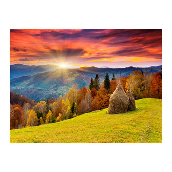 Pictura după număr 30*40 cm D246-1620