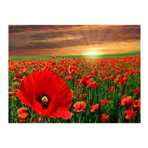 Pictura după număr 30*40 cm D246-1621