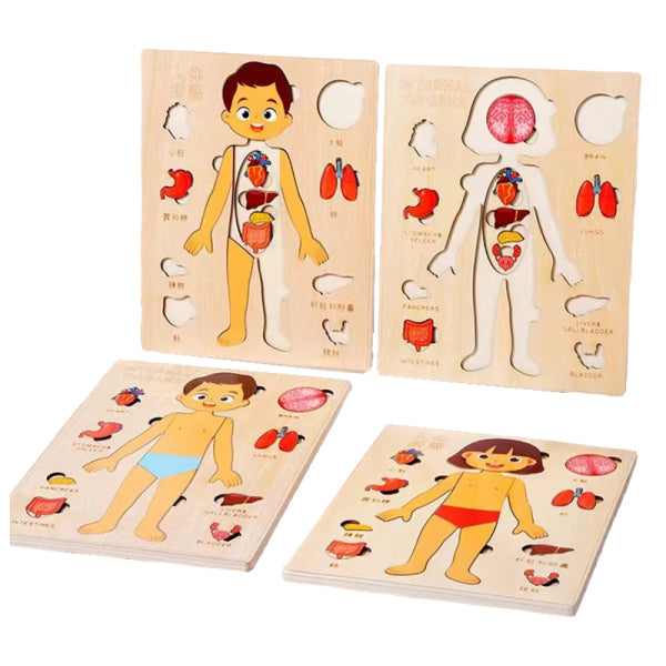 006943 Joc logic - corp uman