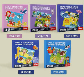 009060 Магнитные головоломки