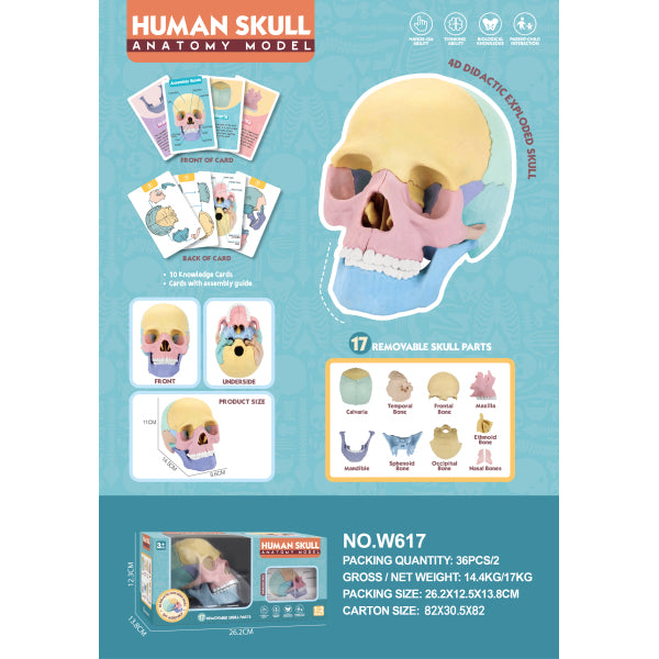 009507 Учебный комплект