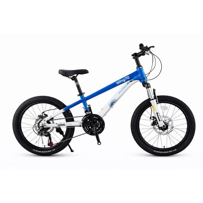 Bicicletă pentru copii cu două roți, 20 de inci, albastru-alb, cod 2362D