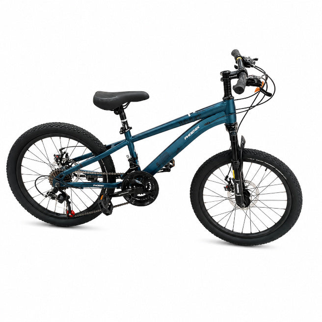 Bicicletă pentru copii cu două roți, 20 de inci, albastru-alb, cod 2362D