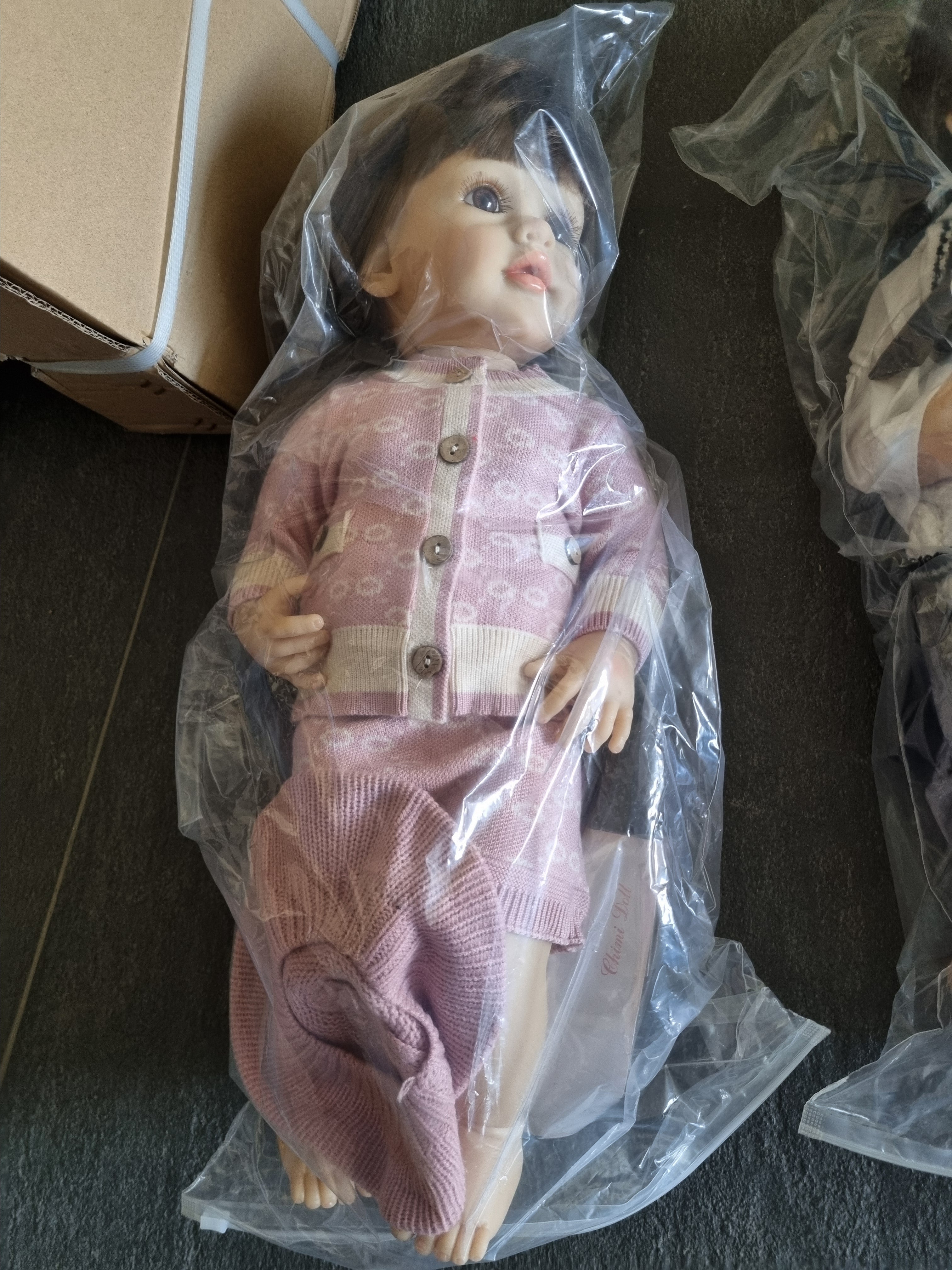 Реалистичная кукла, говорит и отвечает, в комплекте подгузник, бутылочка и книжка D2510-1392